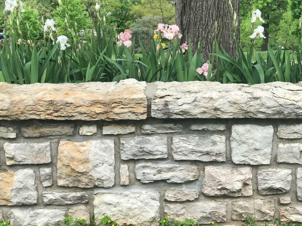 Stone wall in front of flowers - Wall of Depression